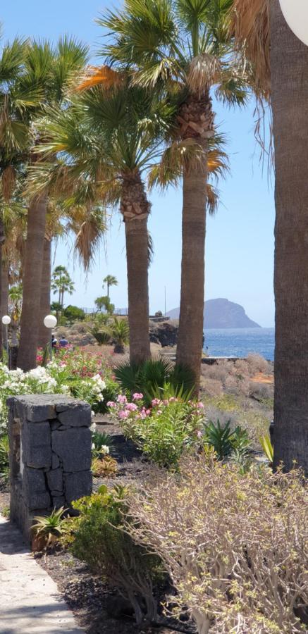 Cosy Well Located Apartment Tenerife Sur Golf 圣米格尔德阿沃纳 外观 照片