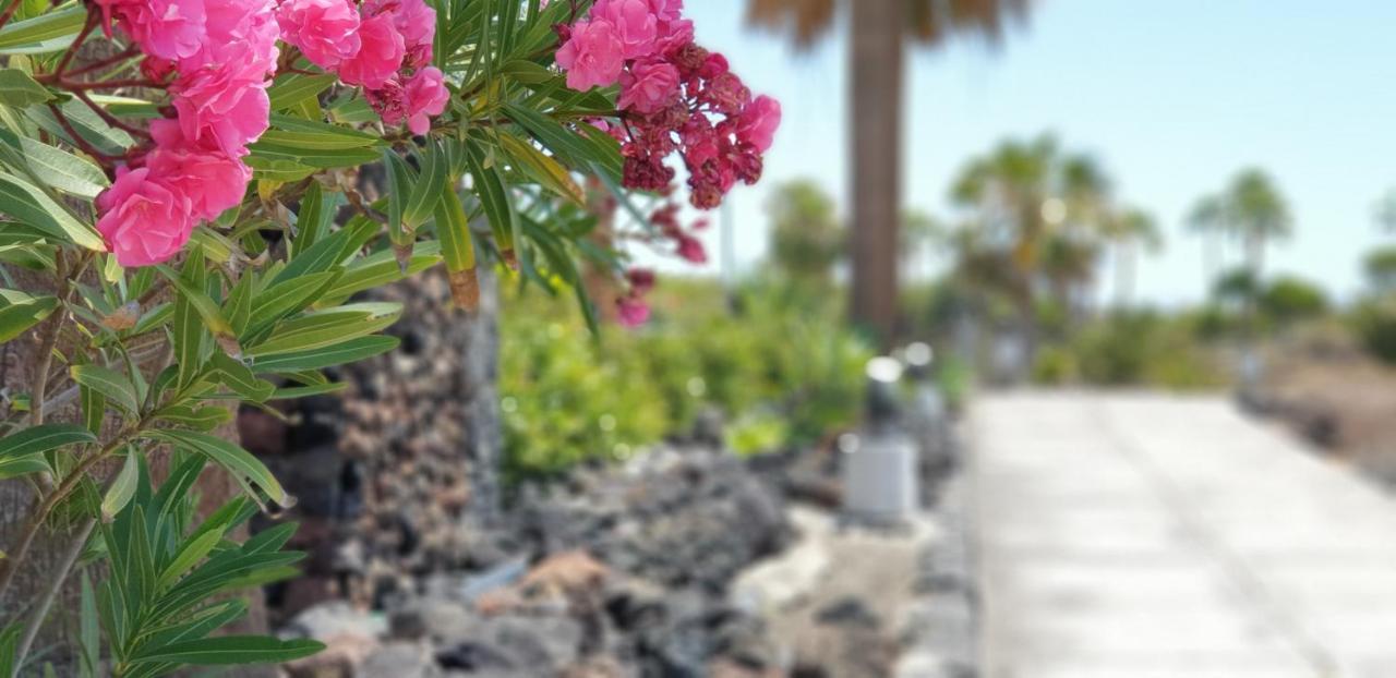 Cosy Well Located Apartment Tenerife Sur Golf 圣米格尔德阿沃纳 外观 照片