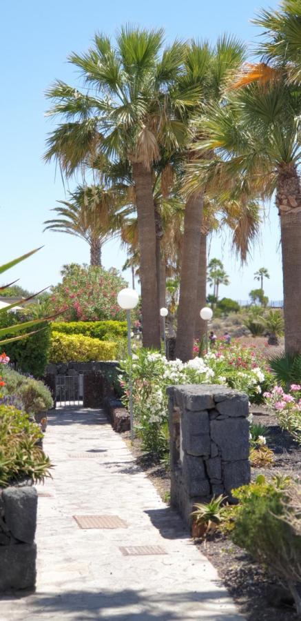 Cosy Well Located Apartment Tenerife Sur Golf 圣米格尔德阿沃纳 外观 照片
