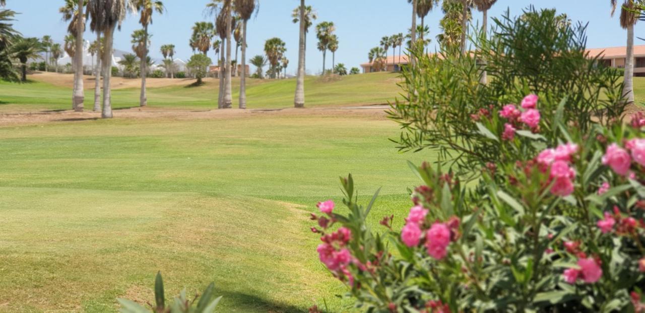 Cosy Well Located Apartment Tenerife Sur Golf 圣米格尔德阿沃纳 外观 照片