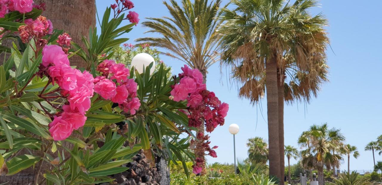 Cosy Well Located Apartment Tenerife Sur Golf 圣米格尔德阿沃纳 外观 照片